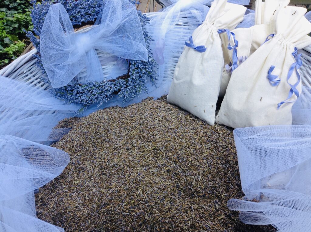 Soave lavanda di azzurro vestita …